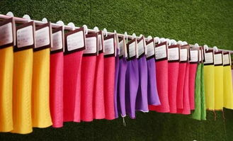 智造 新織城 第十八屆中國 大朗 國際毛織產品交易會圓滿成功